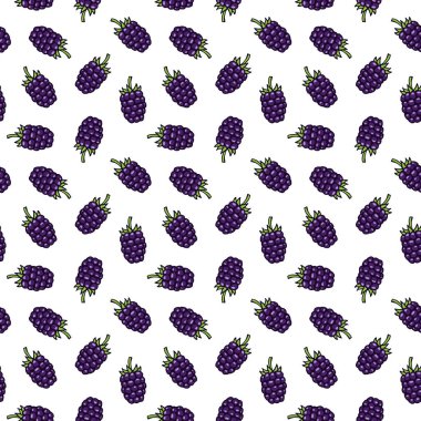 Böğürtlen, böğürtlen, çiy el çizilmiş desen vektör illüstrasyon