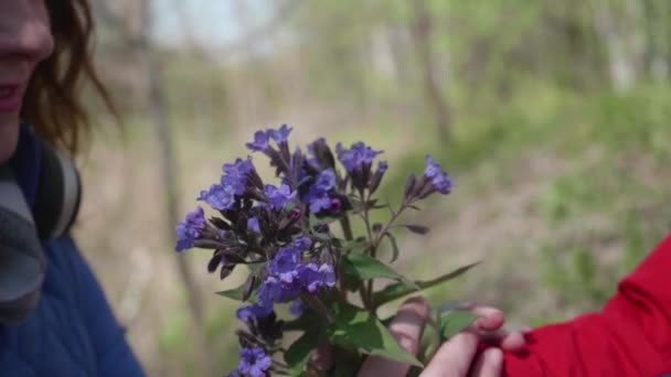 野生の花の花束を持って幸せな子。公園を歩きながら私の母からの贈り物。幸せな家庭、愛情深い両親. — ストック動画