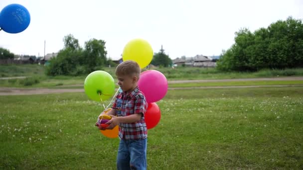 Fröhlicher Junge spielt im Park mit Luftballons. Wandern und Aktivitäten im Freien — Stockvideo