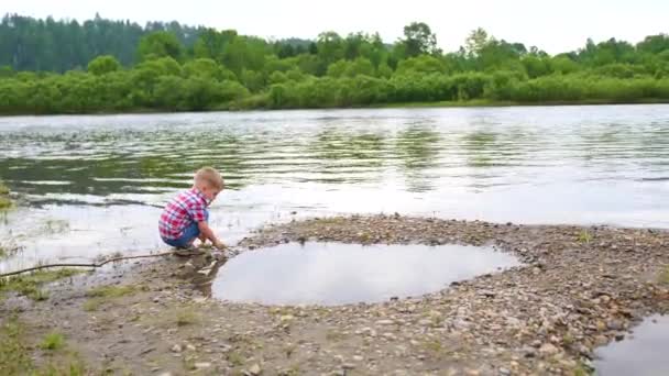 Uma criança brincando nas margens do rio, a bela paisagem de verão. Recreação ao ar livre . — Vídeo de Stock