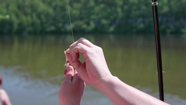 Fiskaren tar bort fisken från kroken. Vackra sommarlandskap. Friluftsliv och rekreation. Hobby — Stockvideo