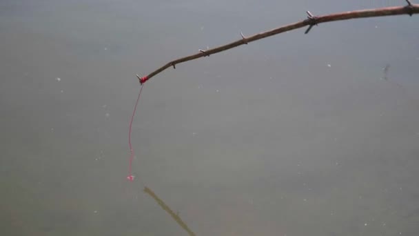 Μωρό αλιεύουν με καλάμια ψαρέματος στις όχθες του ποταμού Τράπεζα. Όμορφο καλοκαιρινό τοπίο. Υπαίθρια αναψυχή. — Αρχείο Βίντεο