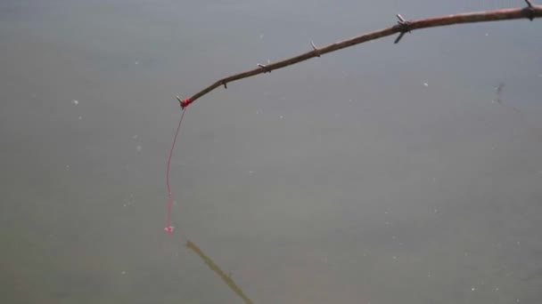 Baby catch fish with fishing rods on the river Bank. Beautiful summer landscape. Outdoor recreation. — Stock Video