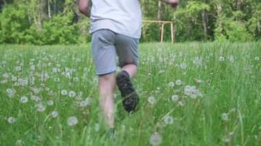 Genç adam karahindiba tarlada çalışır. Karahindiba tohum havada uçmak. Parkta oynarken spor.