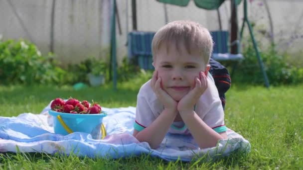 Маленький мальчик лежит на лужайке в жаркий летний день. Ребенок веселый и активный, чтобы проводить свободное время. Счастливого детства — стоковое видео