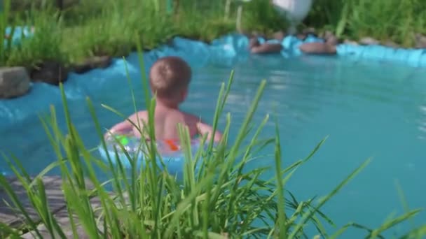 L'enfant nage sur un cercle gonflable dans un petit étang. Jardin, fleurs et plantes autour du lac. Bonne enfance — Video