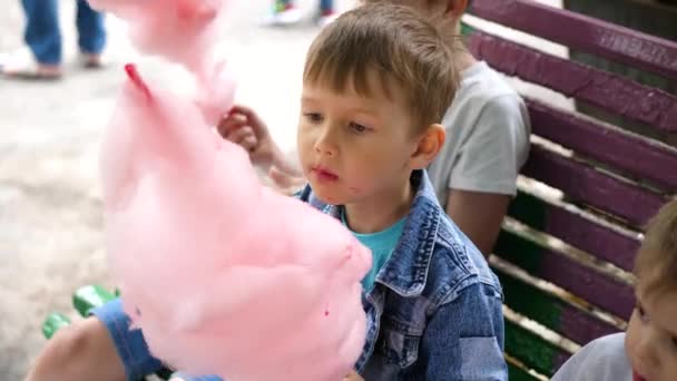 Děti jedí cukrovou vatu v parku. Sladká a vzdušné dezert. Den narození dítěte. — Stock video