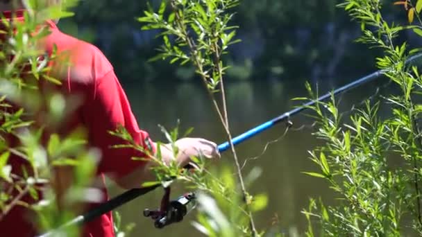 Pescador com uma vara de pesca está na margem do rio. Linda paisagem de verão. Recreação ao ar livre. Hobby... — Vídeo de Stock