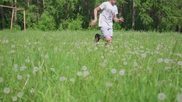 这个年轻人跑过蒲公英的田野。蒲公英的种子在空中飞翔。在公园里玩运动. — 图库视频影像