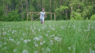 Genç adam karahindiba tarlada çalışır. Karahindiba tohum havada uçmak. Parkta oynarken spor.
