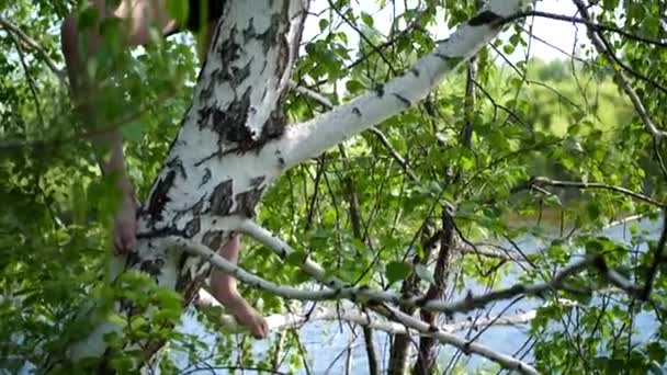 Anak itu memanjat pohon. Orang ini terlibat dalam olahraga ekstrim. Hari musim panas, dekat sungai pegunungan — Stok Video