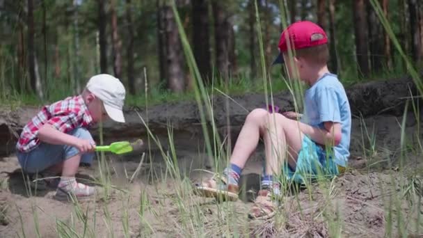 İki çocuk bir büyük ağacın yanında oyun. Bir iğne yapraklı ağaç köklerinin dünyanın dışında büyümek. Güzel yaz manzara. Sıcak yaz — Stok video