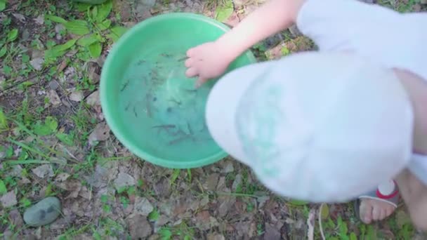 Het kind een kleine vis in een berg rivier net gevangen. Mooie zomerse landschap. Outdoor recreatie. — Stockvideo