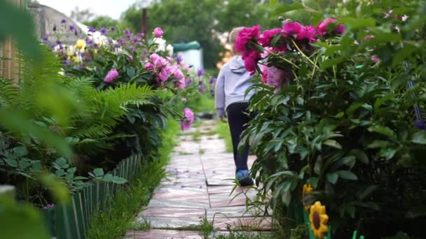 Bloeiende tuin bloemen. Het kind loopt langs het pad langs de bloemen. Jongen spelen in de bloementuin. Gelukkige jeugd — Stockvideo