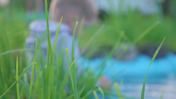 O menino está sentado em um pequeno lago, ao redor do lago crescem flores e grama. A criança cria salpicos de água com os pés. Dia quente de verão. Infância feliz — Vídeo de Stock