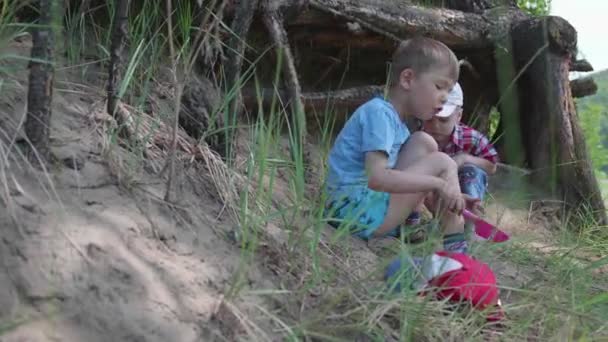 Deux enfants jouent près d'un grand arbre. Les racines d'un conifère poussent à l'extérieur de la terre. Beau paysage d'été . — Video