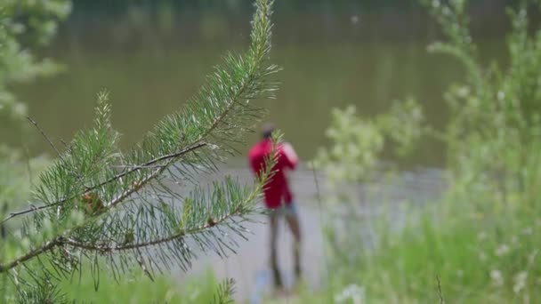 Rybář s rybářským prutem je na řece banku. Krásné letní krajina. Venkovní rekreace. Koníček — Stock video