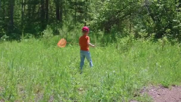 Un chico en un prado atrapando mariposas con una red. Un día soleado caluroso. Entretenimiento al aire libre. Feliz infancia. — Vídeos de Stock