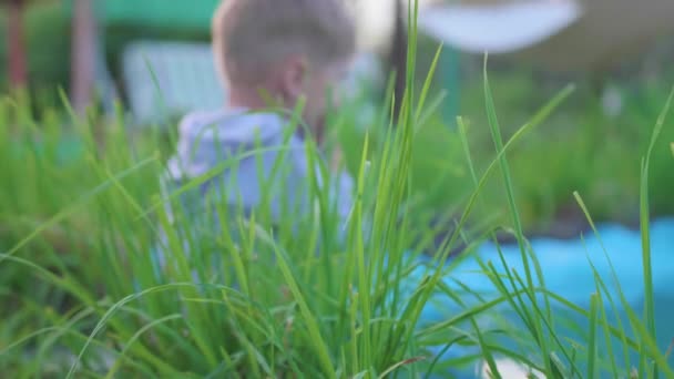 Der Junge sitzt an einem kleinen See. Das Kind erzeugt mit seinen Füßen Wasserspritzer. Heißer Sommertag. Glückliche Kindheit — Stockvideo