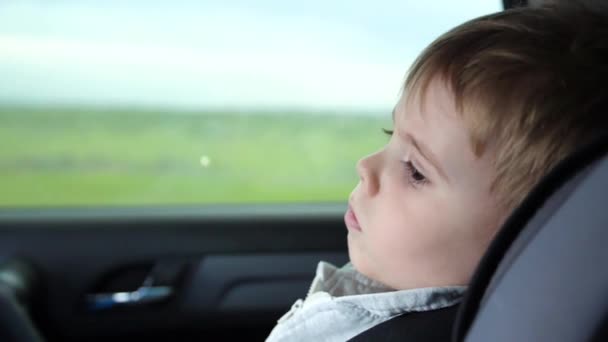Сімейна поїздка. На шосе. Маленька дитина сидить на автокріслі, безпека в дорозі — стокове відео