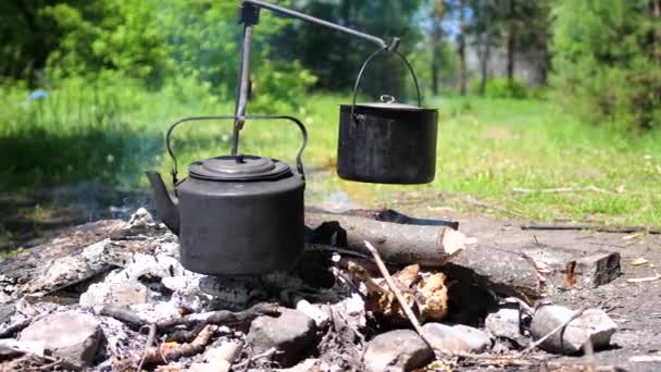 Kochen auf offenem Feuer. Freizeitgestaltung im Freien. — Stockvideo