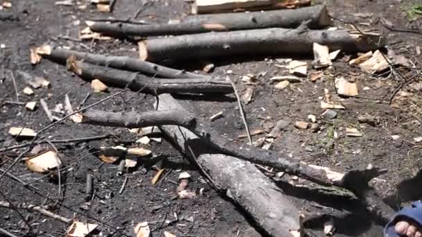 Ein Mann, der mit einer Axt Holz für ein Feuer hackt. Freizeitgestaltung im Freien — Stockvideo