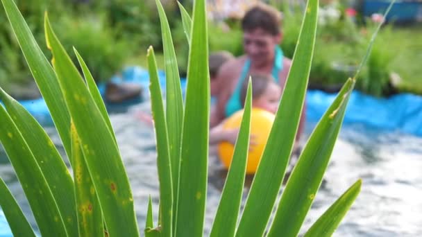 家族は夏の暑い日に小さな湖で泳ぎます。おばあちゃんは、小さな子供を泳ぐを学習します。ガーデン、花、湖の周りの植物. — ストック動画