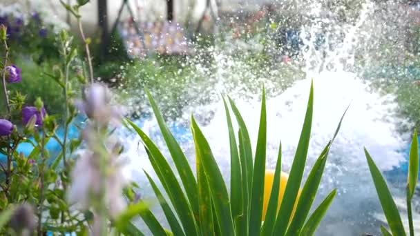 Los niños nadan en un pequeño lago en un caluroso día de verano. El chico salta al agua, crea salpicaduras de agua. Jardín, flores y plantas alrededor del lago. Feliz infancia. — Vídeo de stock