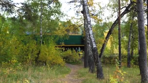 Spoorwegovergang. De familie staat in de buurt van de spoorlijn en kijkt naar de passerende locomotief. Herfst Park, een pittoreske plaats — Stockvideo