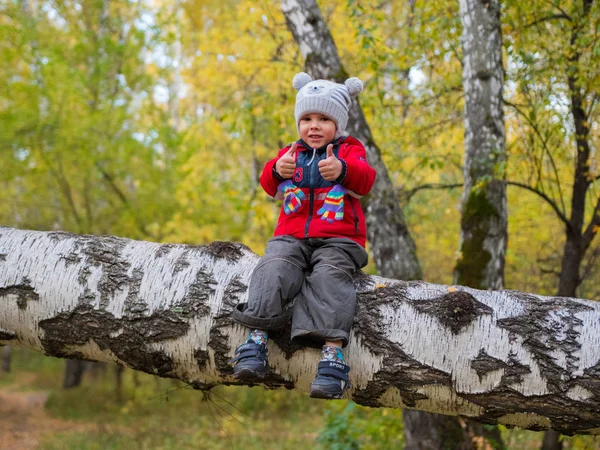 Παιδί φθινόπωρο πάρκο έχοντας διασκέδαση παίζοντας και γελώντας, το περπάτημα στο φρέσκο αέρα. Ένα όμορφο και γραφικό μέρος — Φωτογραφία Αρχείου