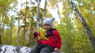 Sonbaharda çocuk Park oynamak ve gülmek, temiz havada yürüyüş eğleniyor. Çok güzel manzaralı bir yer