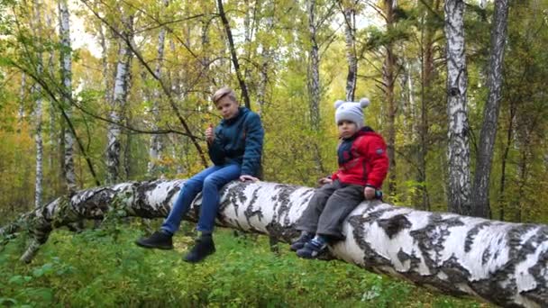 Los niños en el parque de otoño caminan al aire libre. Dos niños sentados en un árbol caído. Un hermoso lugar escénico — Vídeo de stock