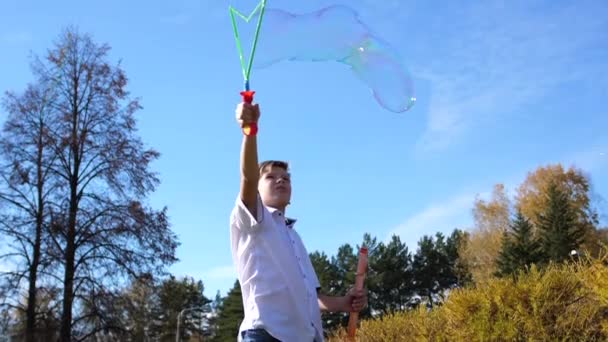 A young guy in the park makes big soap bubbles. Holiday and outdoor entertainment — Stock Video