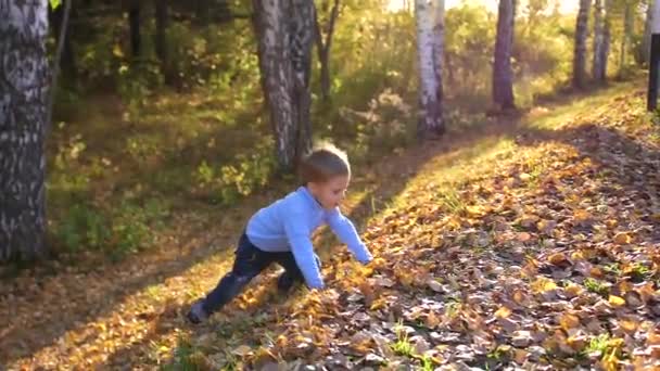Un enfant court et joue dans le parc d'automne. Le garçon rit, il aime courir sur des feuilles jaunes 