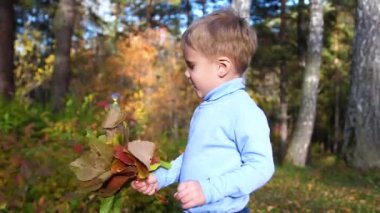 Sonbaharda çocuk Park oynamak ve gülmek, temiz havada yürüyüş eğleniyor. Çok güzel manzaralı bir yer