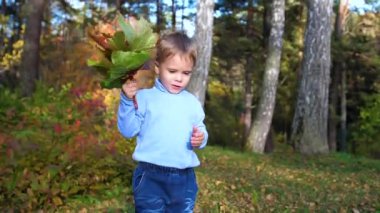 Sonbaharda çocuk Park oynamak ve gülmek, temiz havada yürüyüş eğleniyor. Çok güzel manzaralı bir yer