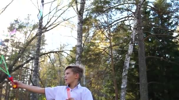 Un joven en el parque hace grandes burbujas de jabón. Vacaciones y entretenimiento al aire libre — Vídeos de Stock