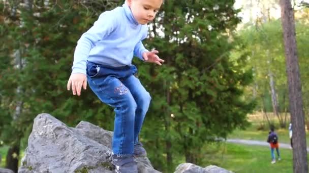 Dítě v podzimní Park fun hraní a smích, procházky na čerstvém vzduchu. Ten chlapec šplhá velké kameny, má rád vyzkoušeno — Stock video