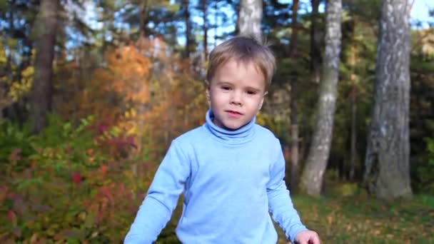 Criança no outono Parque se divertindo brincando e rindo, andando ao ar livre. Um belo lugar cênico — Vídeo de Stock