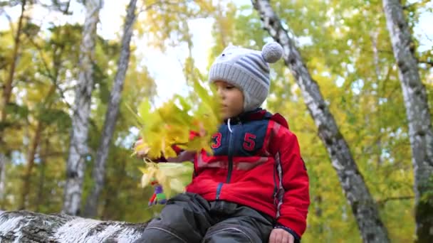 Kinder im Herbstpark haben Spaß beim Spielen und Lachen, beim Spazierengehen an der frischen Luft. ein schöner landschaftlicher Ort — Stockvideo