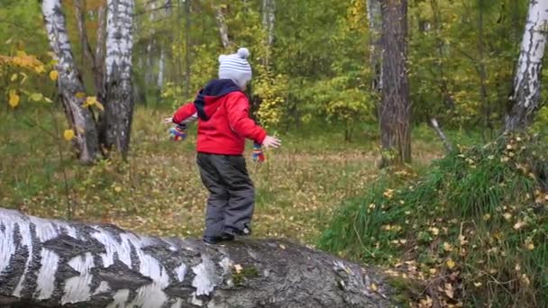 Copil în parcul de toamnă se distrează jucându-se și râzând, mergând în aerul proaspăt. Copac căzut. Un loc pitoresc frumos — Videoclip de stoc