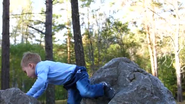 Barnet i höst Park roligt leker och skrattar, promenader i den friska luften. Pojken klättrar stora stenar, han gillar att klättra dem — Stockvideo