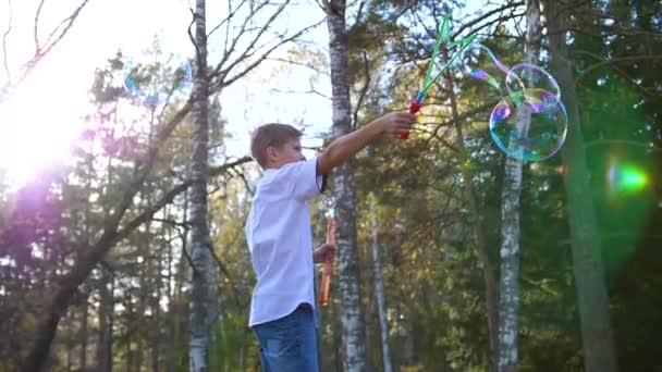 Молодой парень в парке делает большие мыльные пузыри. Отдых и отдых — стоковое видео