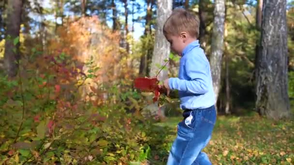 Enfant à l'automne Park s'amuser à jouer et rire, marcher dans l'air frais. Un bel endroit pittoresque 