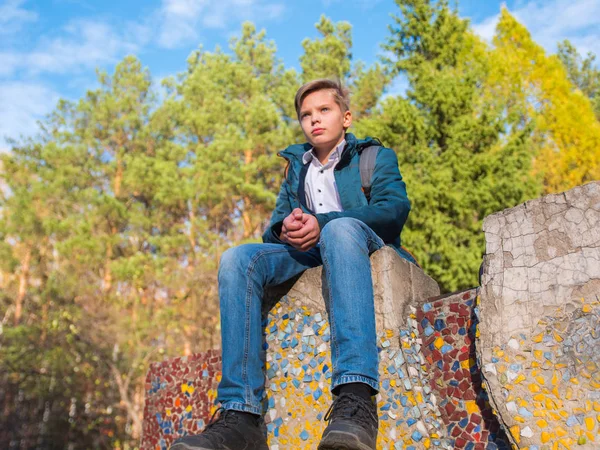 Adolescente sentado em cima de uma rocha. Outono floresta e céu azul fundo Imagens De Bancos De Imagens