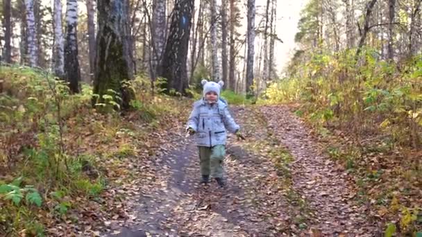 Enfant à l'automne Park s'amuser à jouer et rire, marcher dans l'air frais. Un bel endroit pittoresque 