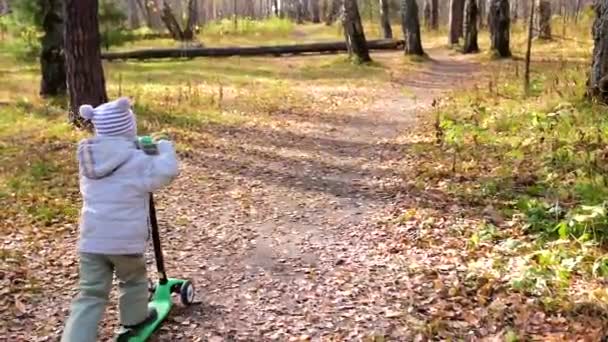 El niño en el parque de otoño divertido jugando y riendo, montando un scooter. Un hermoso lugar escénico — Vídeos de Stock