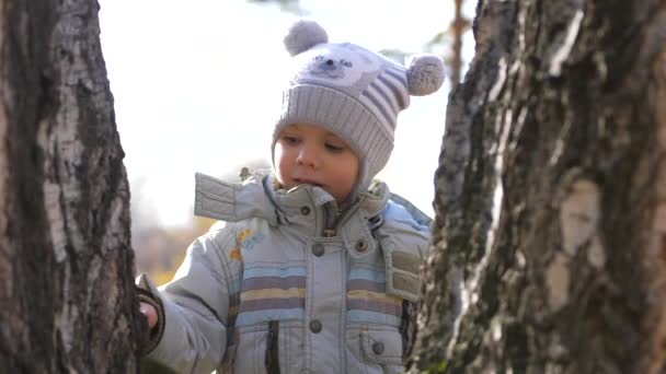 Un enfant dans le parc d'automne se promène dans l'air frais. Un bel endroit pittoresque — Video