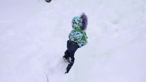 Маленька дитина гуляє в зимовому парку. Грає і усміхається дитина на білому пухнастому снігу. Активний відпочинок та ігри . — стокове відео