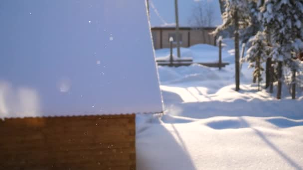 Snöflingor falla sakta till marken, den ljusa solen belyser den fallande snön — Stockvideo